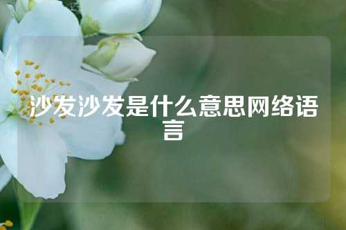 沙发沙发是什么意思网络语言