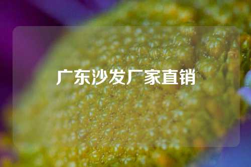 广东沙发厂家直销
