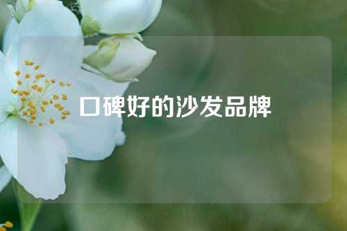 口碑好的沙发品牌