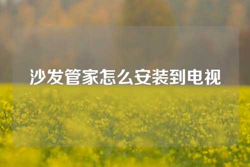 沙发管家怎么安装到电视