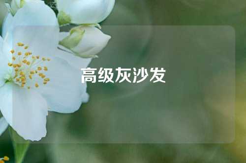 高级灰沙发