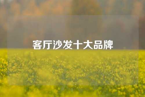 客厅沙发十大品牌
