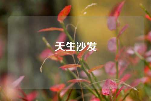 天生沙发