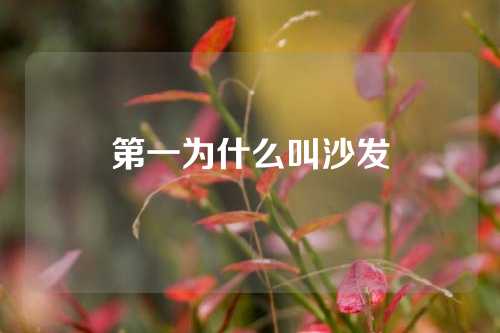 第一为什么叫沙发