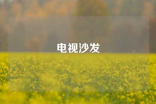 电视沙发