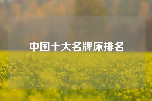 中国十大名牌床排名