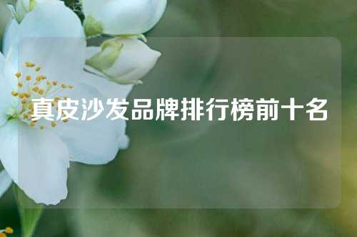 真皮沙发品牌排行榜前十名