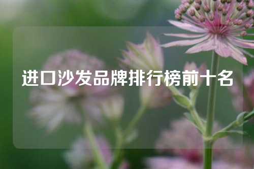进口沙发品牌排行榜前十名