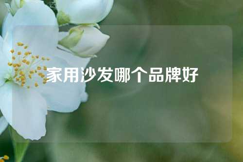 家用沙发哪个品牌好