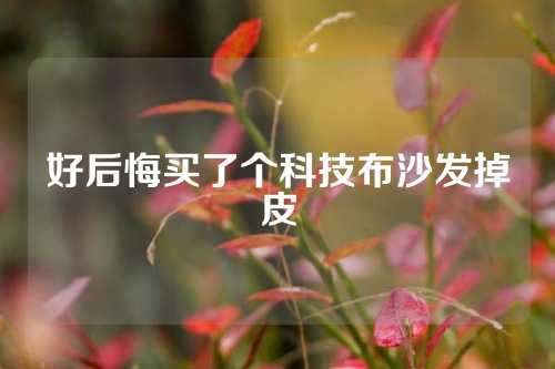 好后悔买了个科技布沙发掉皮