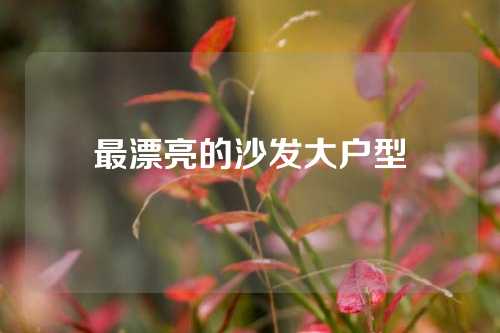最漂亮的沙发大户型