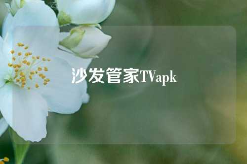 沙发管家TVapk