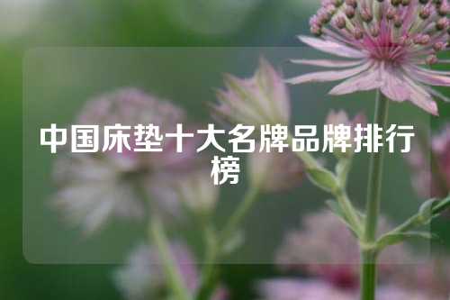 中国床垫十大名牌品牌排行榜