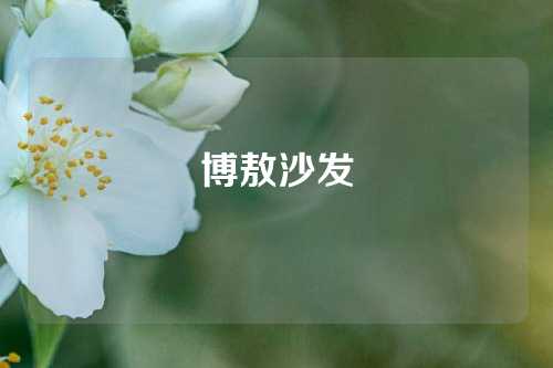 博敖沙发