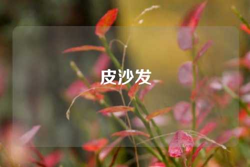 皮沙发