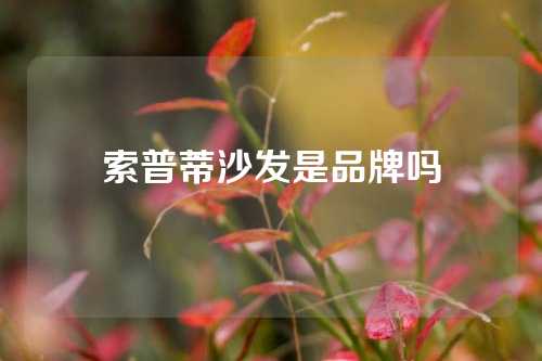 索普蒂沙发是品牌吗