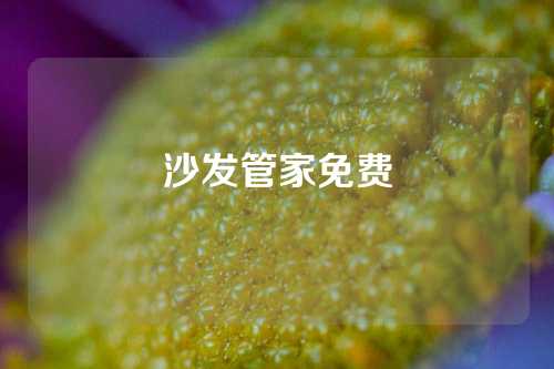 沙发管家免费
