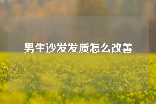 男生沙发发质怎么改善