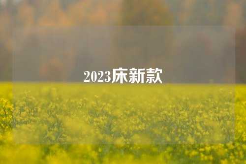 2023床新款