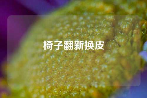 椅子翻新换皮