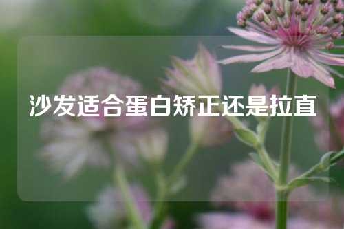 沙发适合蛋白矫正还是拉直