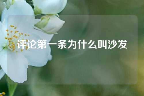 评论第一条为什么叫沙发