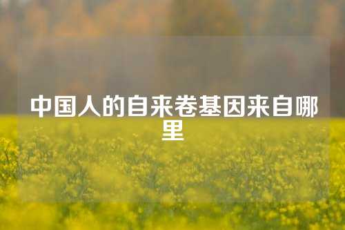 中国人的自来卷基因来自哪里