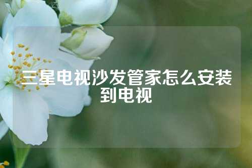 三星电视沙发管家怎么安装到电视