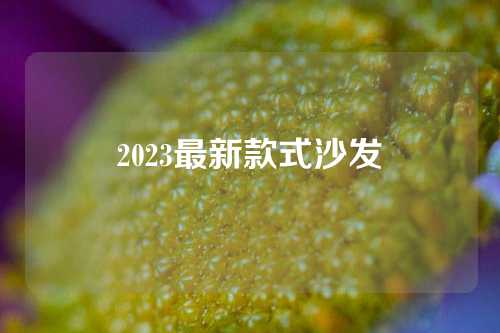 2023最新款式沙发