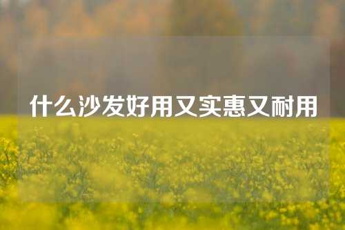 什么沙发好用又实惠又耐用