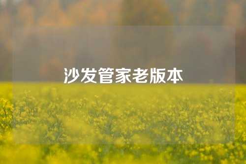 沙发管家老版本
