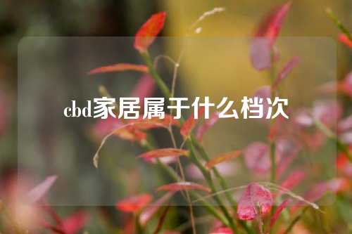 cbd家居属于什么档次