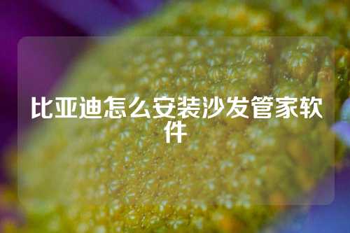 比亚迪怎么安装沙发管家软件