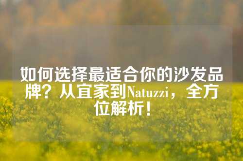 如何选择最适合你的沙发品牌？从宜家到Natuzzi，全方位解析！