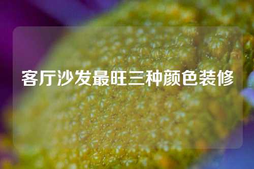 客厅沙发最旺三种颜色装修