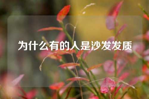 为什么有的人是沙发发质