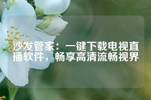 沙发管家：一键下载电视直播软件，畅享高清流畅视界