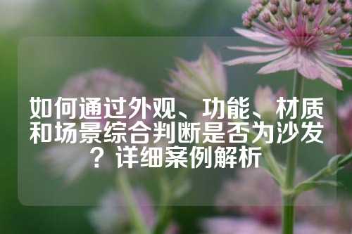 如何通过外观、功能、材质和场景综合判断是否为沙发？详细案例解析