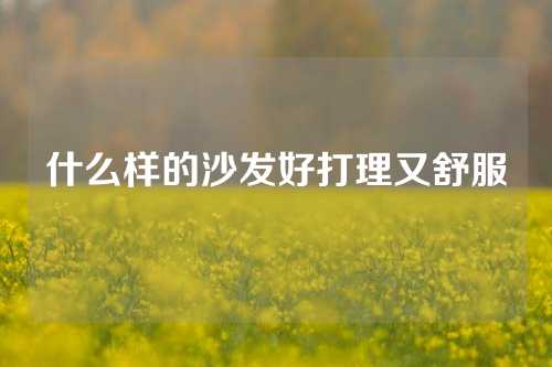 什么样的沙发好打理又舒服