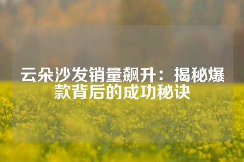 云朵沙发销量飙升：揭秘爆款背后的成功秘诀