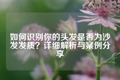 如何识别你的头发是否为沙发发质？详细解析与案例分享