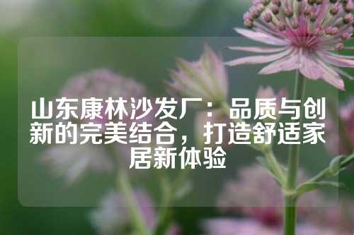 山东康林沙发厂：品质与创新的完美结合，打造舒适家居新体验