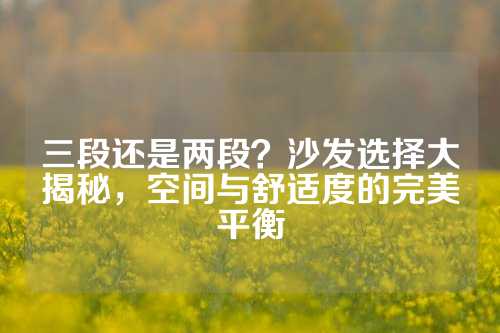 三段还是两段？沙发选择大揭秘，空间与舒适度的完美平衡