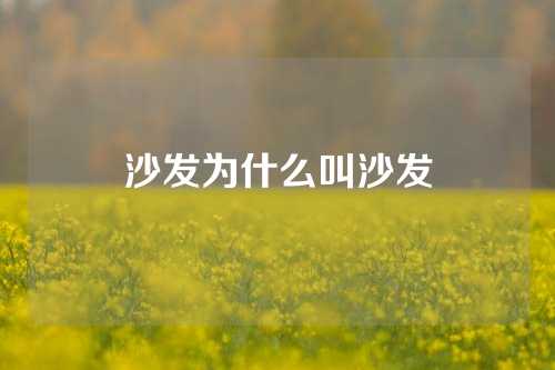沙发为什么叫沙发