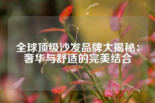 全球顶级沙发品牌大揭秘：奢华与舒适的完美结合