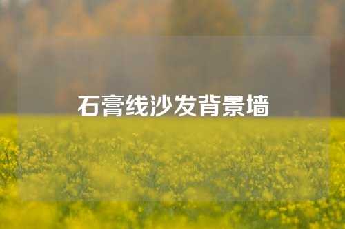 石膏线沙发背景墙