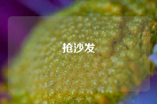 抢沙发