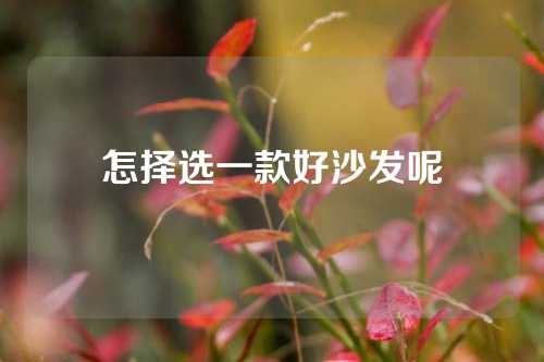 怎择选一款好沙发呢