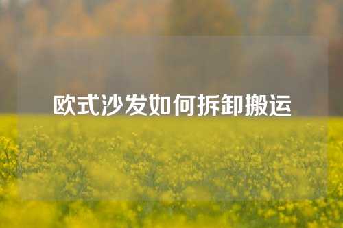 欧式沙发如何拆卸搬运