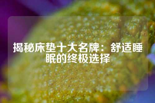 揭秘床垫十大名牌：舒适睡眠的终极选择